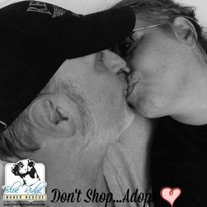 Meet your Posher, Penny